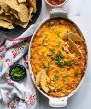 Mexican Shredded Chicken Dip | Carolyn's Cooking